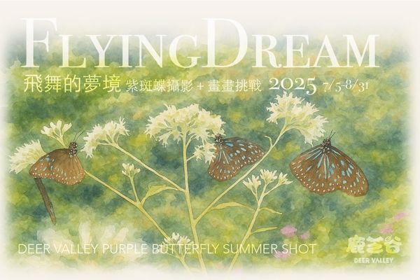🦌森林裡的夢幻假期！親子出遊首選南投鹿谷2025新開幕《鹿芝谷》：紫斑蝶奇景、多肉DIY、可愛動物、森林茶屋一次打包🌿🦋
