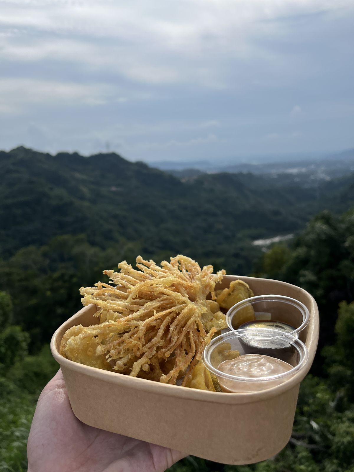 鹿芝谷餐點：炸金針菇餐盒佐沾醬，背景是山谷雲海